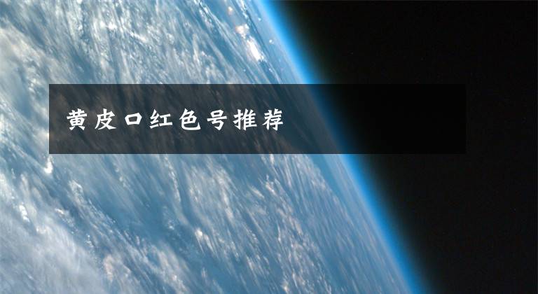 黄皮口红色号推荐