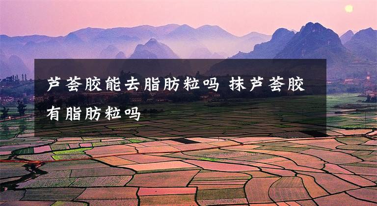 芦荟胶能去脂肪粒吗 抹芦荟胶有脂肪粒吗