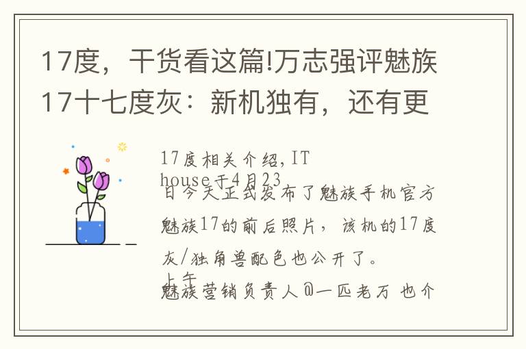 17度,干货看这篇!万志强评魅族17十七度灰:新机独有,还有更棒的颜色