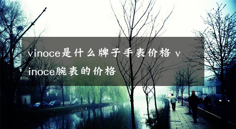 vinoce是什么牌子手表价格 vinoce腕表的价格