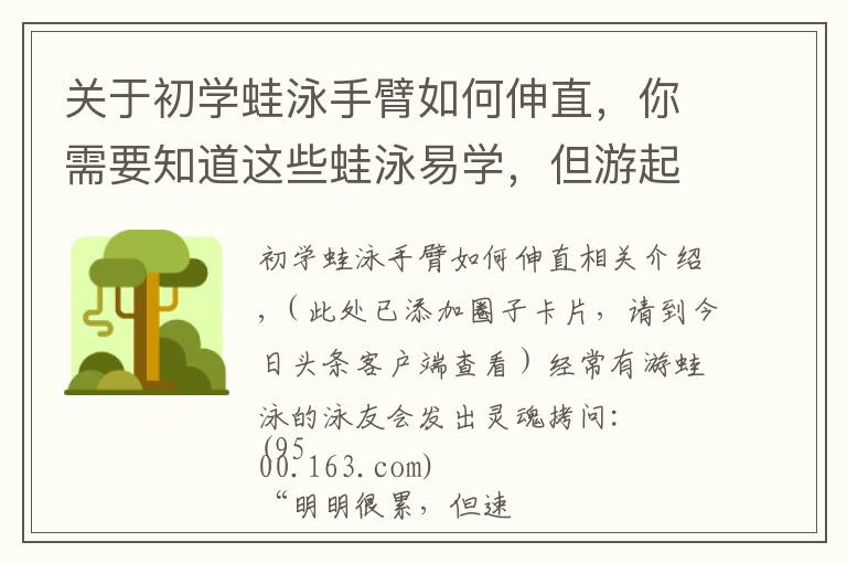 关于初学蛙泳手臂如何伸直,你需要知道这些蛙泳易学,但游起来慢?可能你忽略了这一点