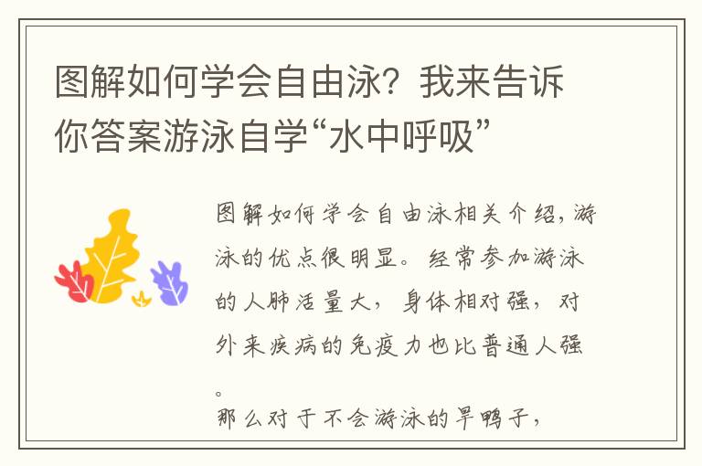 图解如何学会自由泳?我来告诉你答案游泳自学“水中呼吸”