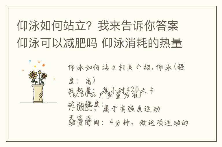 仰泳如何站立?我来告诉你答案仰泳可以减肥吗 仰泳消耗的热量
