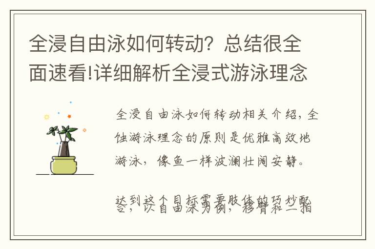 全浸自由泳如何转动?总结很全面速看!详细解析全浸式游泳理念,真正掌握全浸式游泳的动作心法