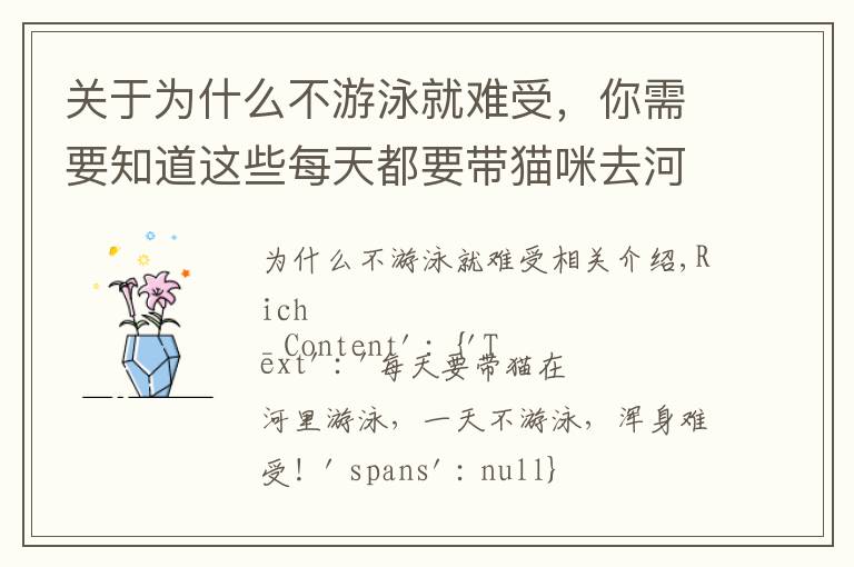 关于为什么不游泳就难受,你需要知道这些每天都要带猫咪去河里游泳,一天不游泳就浑身难受!