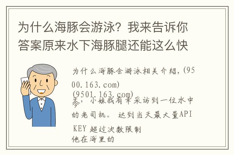 为什么海豚会游泳?我来告诉你答案原来水下海豚腿还能这么快!海上老司机独家专访