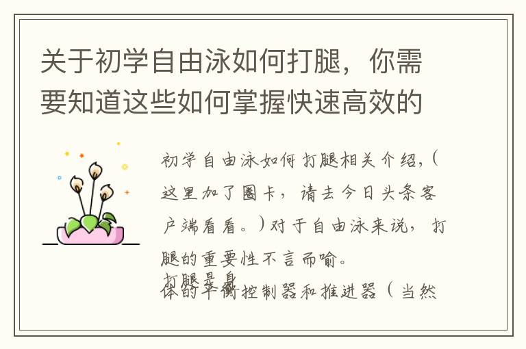 关于初学自由泳如何打腿,你需要知道这些如何掌握快速高效的自由泳打腿?