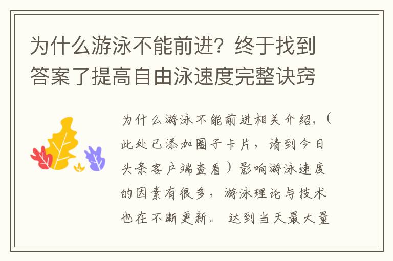 为什么游泳不能前进?终于找到答案了提高自由泳速度完整诀窍,“从头到脚”解析
