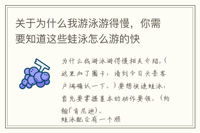 关于为什么我游泳游得慢,你需要知道这些蛙泳怎么游的快