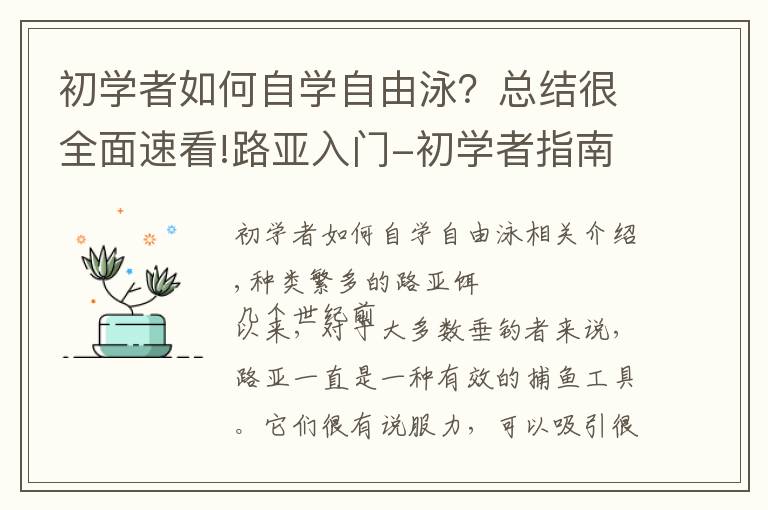 初学者如何自学自由泳?总结很全面速看!路亚入门-初学者指南