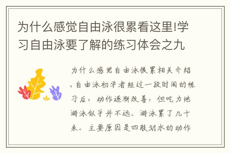 为什么感觉自由泳很累看这里!学习自由泳要了解的练习体会之九