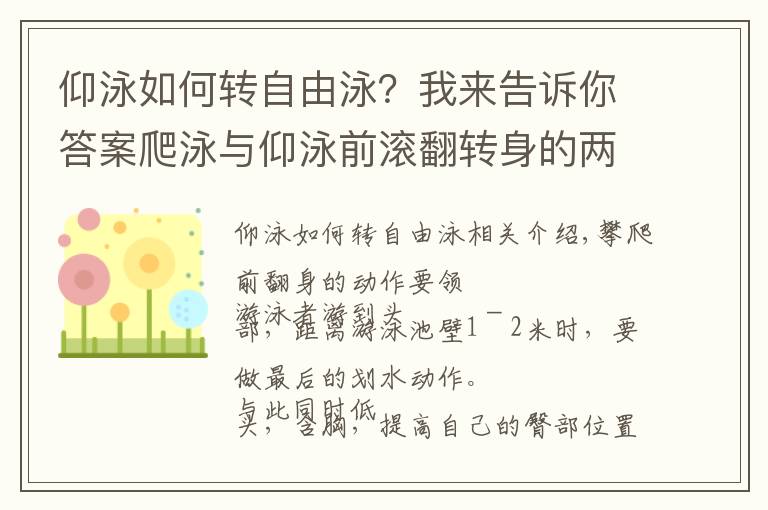 仰泳如何转自由泳?我来告诉你答案爬泳与仰泳前滚翻转身的两个动作要领和五个练习方法