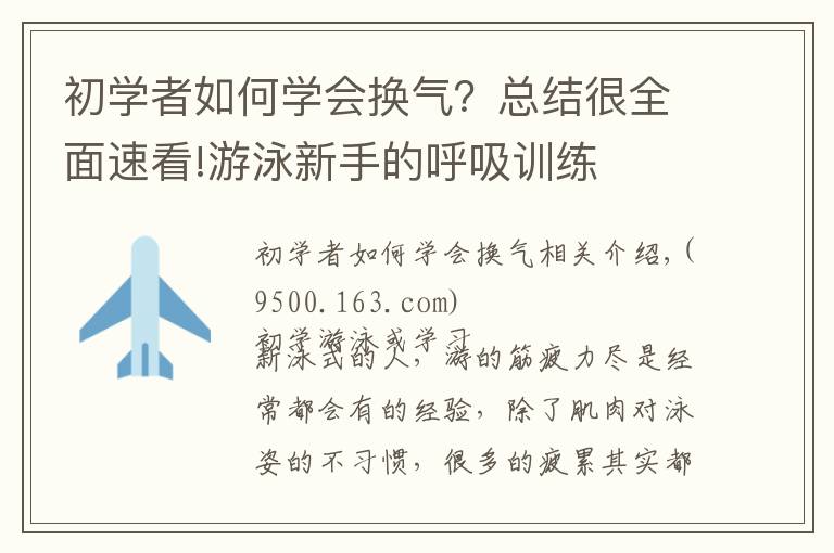 初学者如何学会换气?总结很全面速看!游泳新手的呼吸训练