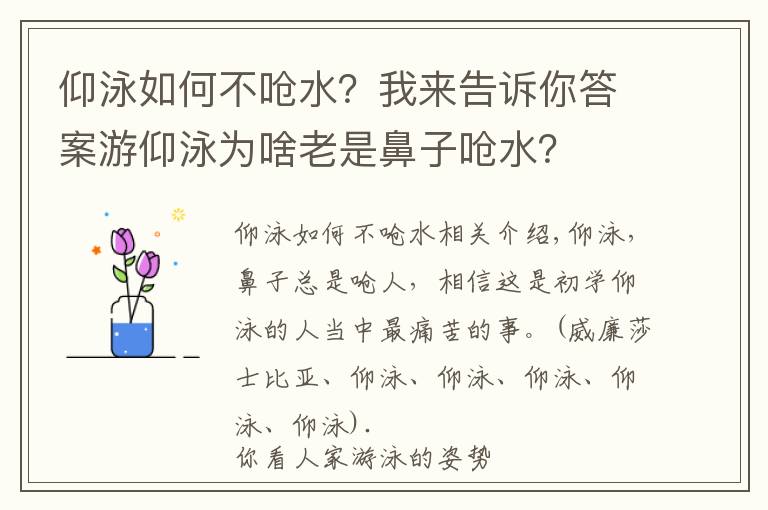 仰泳如何不呛水?我来告诉你答案游仰泳为啥老是鼻子呛水?