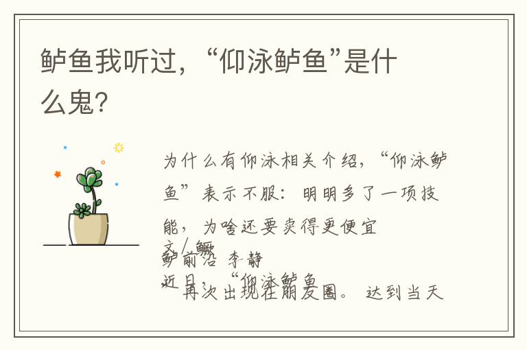 鲈鱼我听过,“仰泳鲈鱼”是什么鬼?