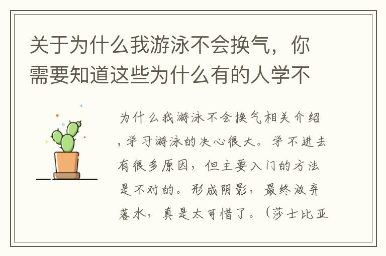 关于为什么我游泳不会换气,你需要知道这些为什么有的人学不会游泳