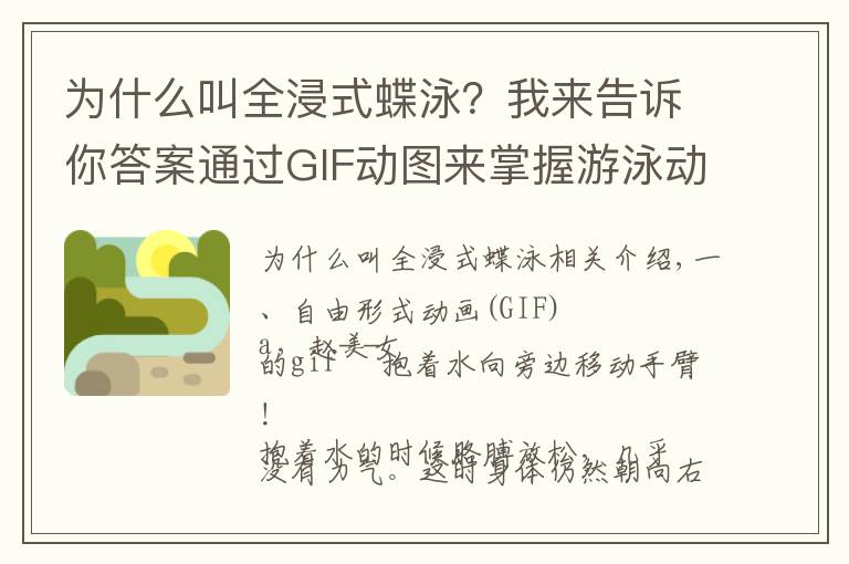 为什么叫全浸式蝶泳?我来告诉你答案通过GIF动图来掌握游泳动作