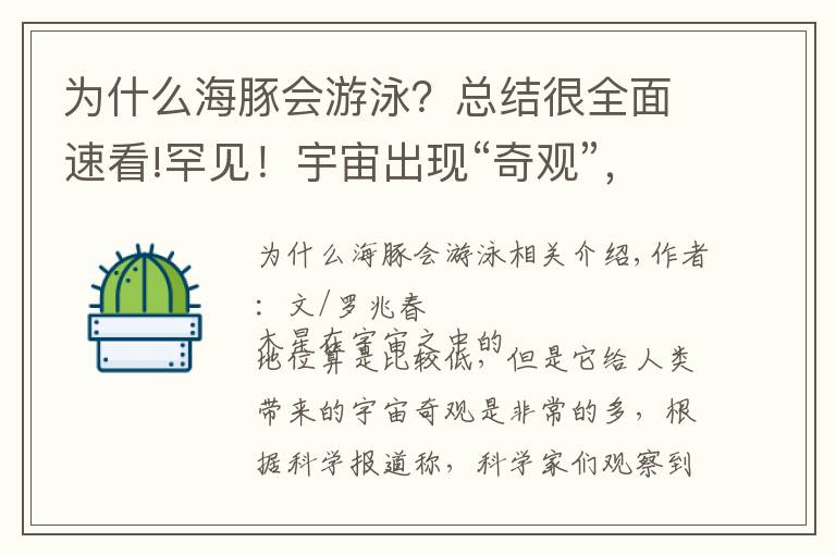 为什么海豚会游泳?总结很全面速看!罕见!宇宙出现“奇观”,木星上有一只“海豚”在游泳