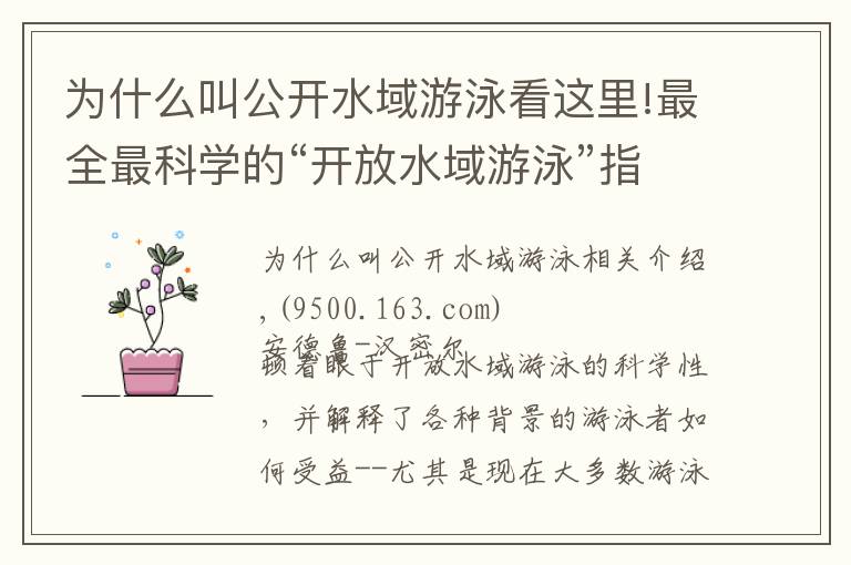 为什么叫公开水域游泳看这里!最全最科学的“开放水域游泳”指南