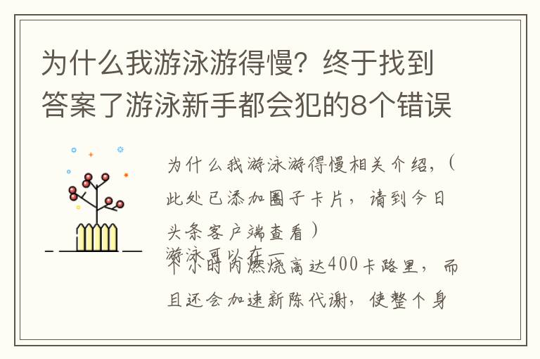 为什么我游泳游得慢?终于找到答案了游泳新手都会犯的8个错误,到底该如何修正?