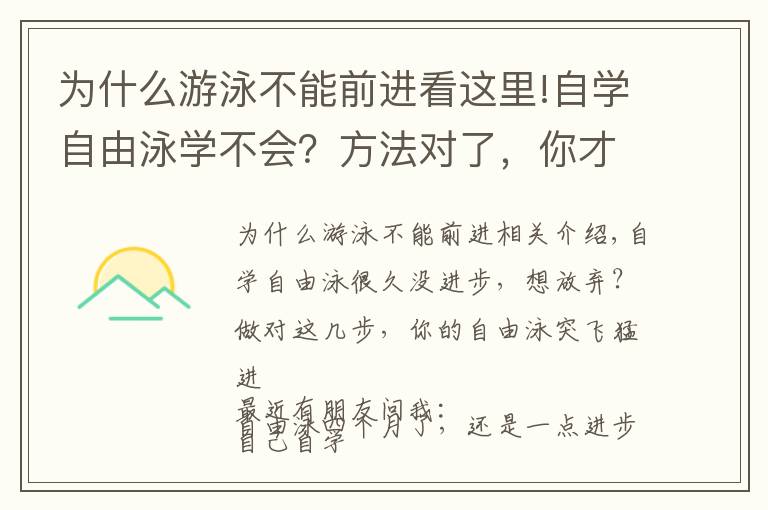 为什么游泳不能前进看这里!自学自由泳学不会?方法对了,你才可以自由自在驰骋泳池