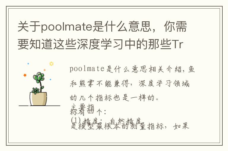 关于poolmate是什么意思，你需要知道这些深度学习中的那些Trade-off