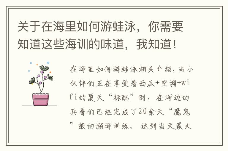 关于在海里如何游蛙泳,你需要知道这些海训的味道,我知道!