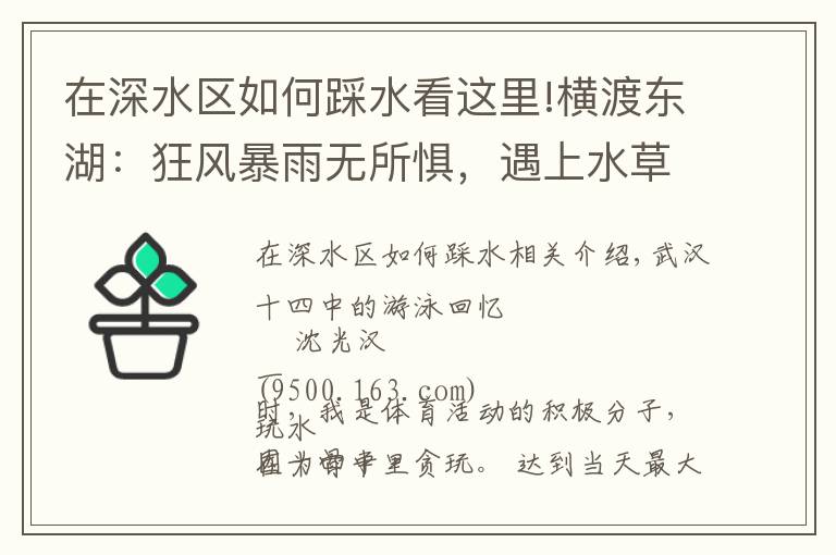 在深水区如何踩水看这里!横渡东湖:狂风暴雨无所惧,遇上水草吓破胆,代价是身上道道血痕