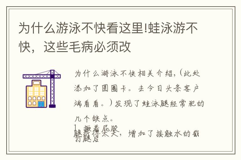 为什么游泳不快看这里!蛙泳游不快,这些毛病必须改