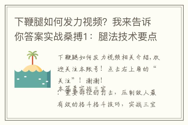 下鞭腿如何发力视频?我来告诉你答案实战桑搏1:腿法技术要点与搏击运用,教你踢出极具摧毁性的重击