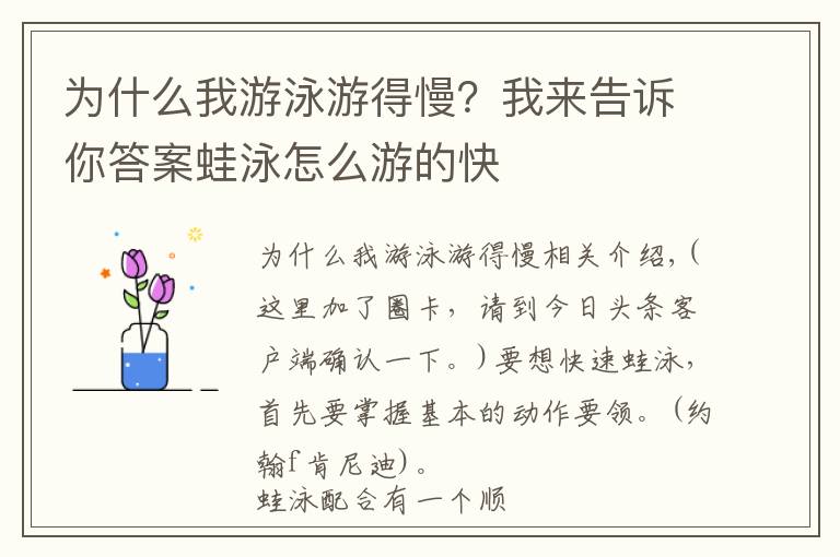 为什么我游泳游得慢?我来告诉你答案蛙泳怎么游的快