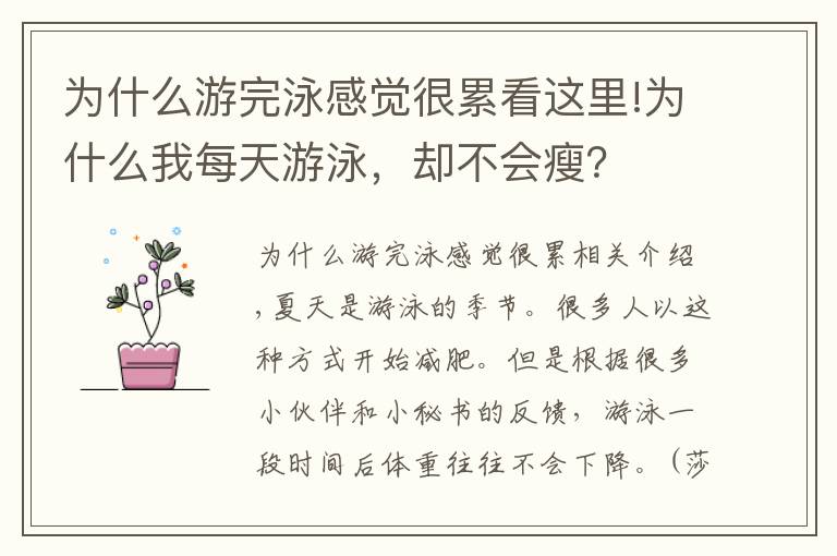 为什么游完泳感觉很累看这里!为什么我每天游泳,却不会瘦?