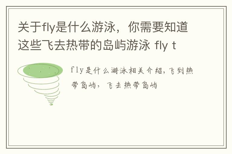 关于fly是什么游泳,你需要知道这些飞去热带的岛屿游泳 fly to tropical island