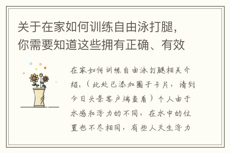 关于在家如何训练自由泳打腿,你需要知道这些拥有正确、有效的自由泳打腿