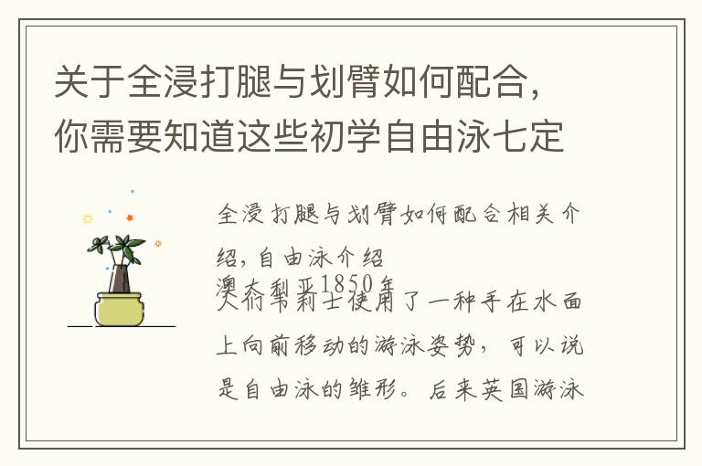 关于全浸打腿与划臂如何配合,你需要知道这些初学自由泳七定律?全浸自由泳与竞技自由泳技术上的差异