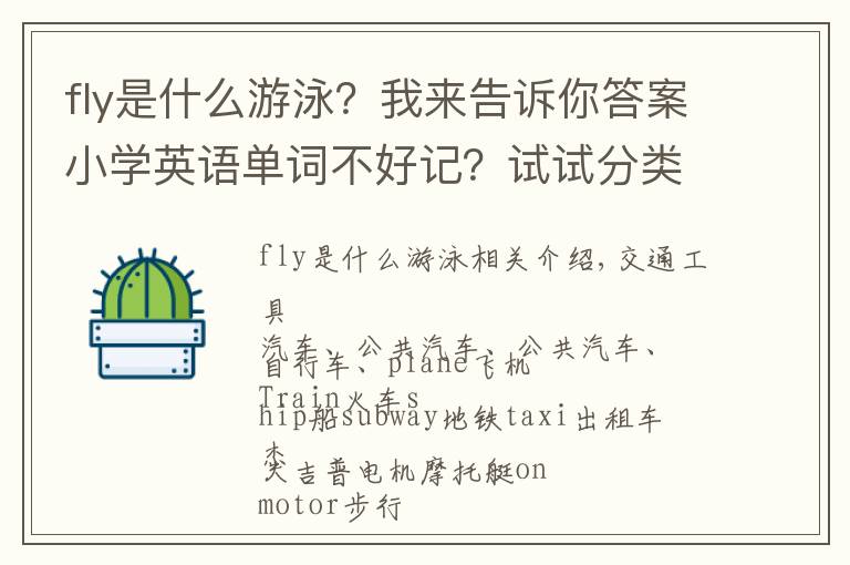 fly是什么游泳？我来告诉你答案小学英语单词不好记？试试分类汇总的方法
