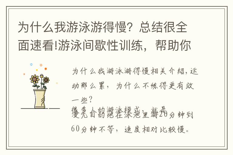 为什么我游泳游得慢?总结很全面速看!游泳间歇性训练,帮助你增加游泳动力