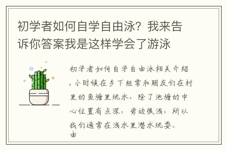 初学者如何自学自由泳?我来告诉你答案我是这样学会了游泳