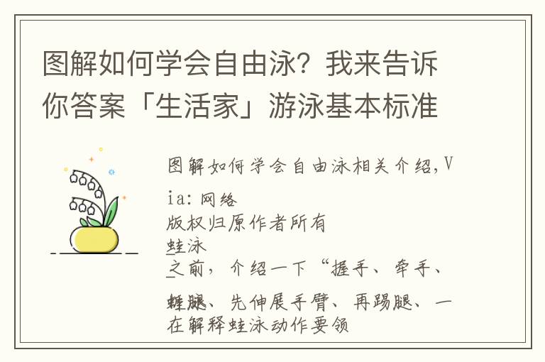 图解如何学会自由泳?我来告诉你答案「生活家」游泳基本标准姿势详细图解