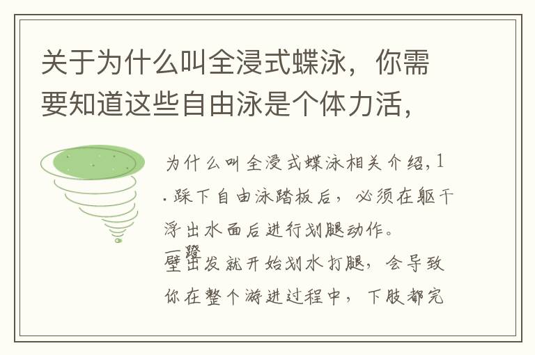 关于为什么叫全浸式蝶泳,你需要知道这些自由泳是个体力活,但绝对是个技术活