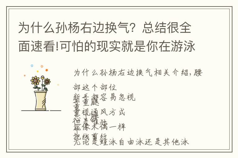 为什么孙杨右边换气?总结很全面速看!可怕的现实就是你在游泳中塌腰!急需这3种方法帮你纠正