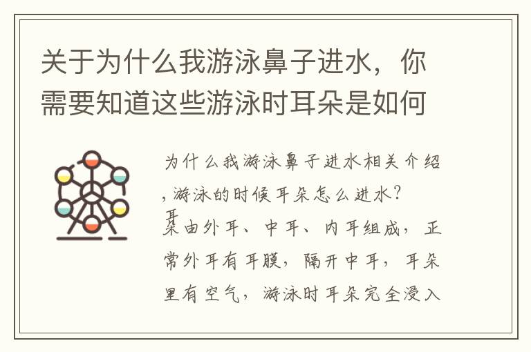 关于为什么我游泳鼻子进水,你需要知道这些游泳时耳朵是如何进水的?进水后该怎么控出来?