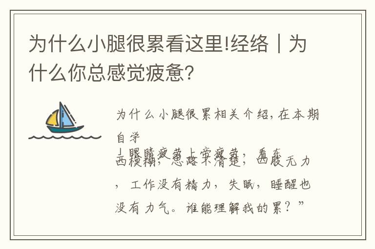为什么小腿很累看这里!经络|为什么你总感觉疲惫?
