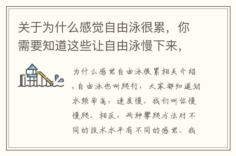 关于为什么感觉自由泳很累,你需要知道这些让自由泳慢下来,有你想不到的轻松!