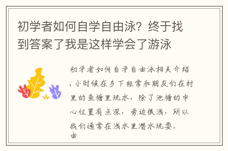 初学者如何自学自由泳?终于找到答案了我是这样学会了游泳