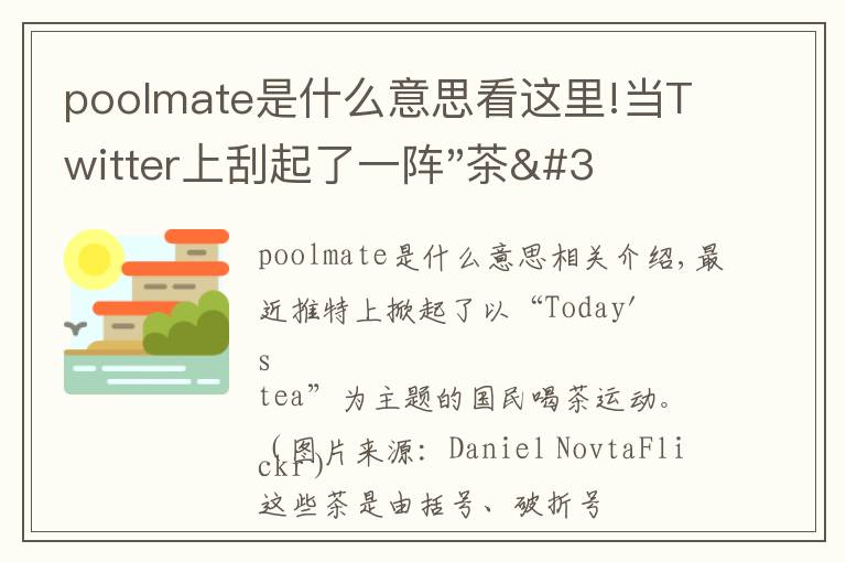 poolmate是什么意思看这里!当Twitter上刮起了一阵"茶"文化,这事儿可不太妙