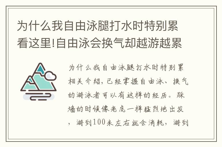 为什么我自由泳腿打水时特别累看这里!自由泳会换气却越游越累，常见的三个主要原因