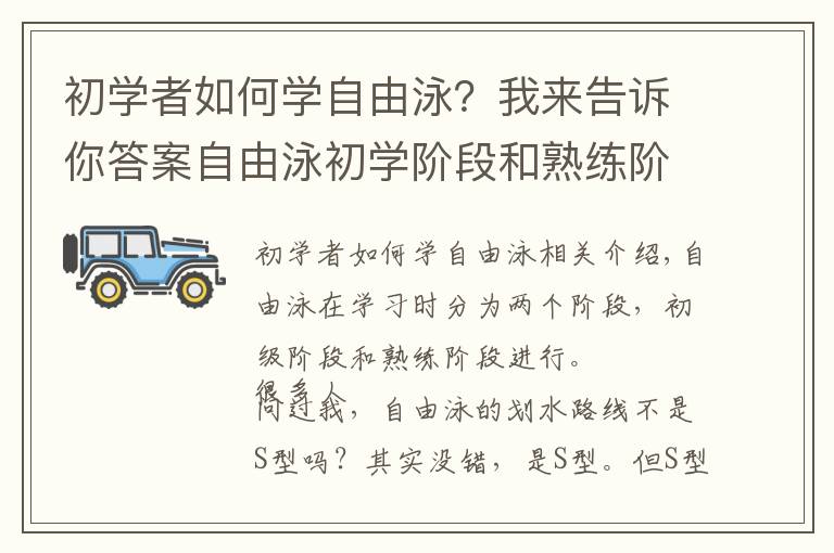 初学者如何学自由泳?我来告诉你答案自由泳初学阶段和熟练阶段的划水路线