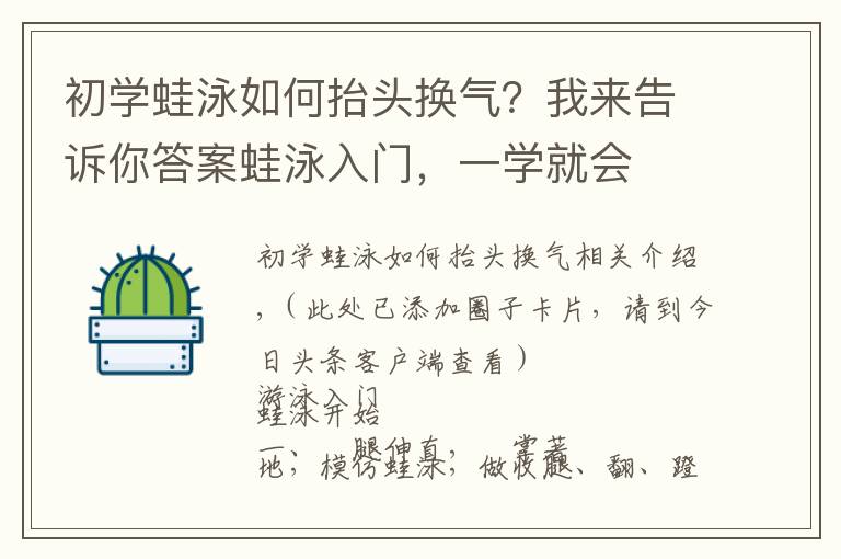 初学蛙泳如何抬头换气?我来告诉你答案蛙泳入门,一学就会