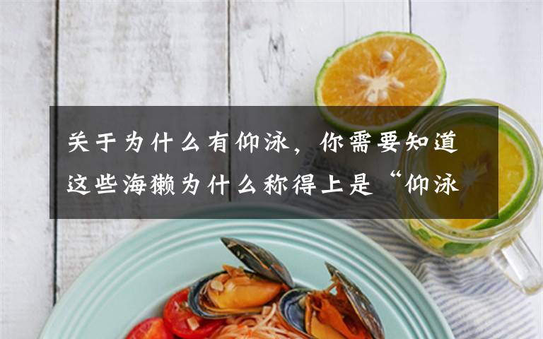 关于为什么有仰泳,你需要知道这些海獭为什么称得上是“仰泳专家”?